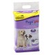 TAPPETINI ASSORBENTI PUPI PIU  60x60 AL PROFUMO DI LAVANDA